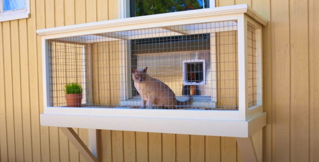 catio o patio para gatos